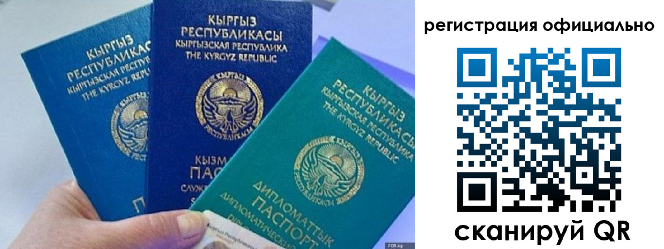 прописка в Новодвинске